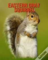 Eastern Gray Squirrel