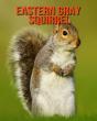 Eastern Gray Squirrel - Preview