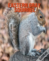 Eastern Gray Squirrel