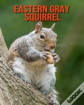Eastern Gray Squirrel