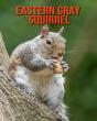 Eastern Gray Squirrel - Preview