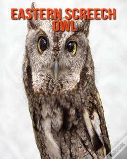 Capa do artigo Eastern Screech Owl