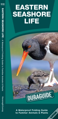 Capa do artigo Eastern Seashore Life