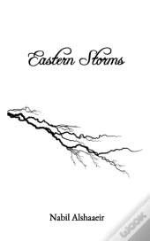 Eastern Storms