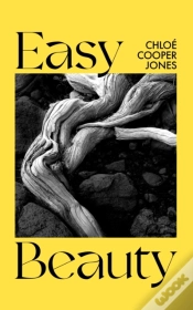 Capa do artigo Easy Beauty