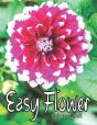 Easy Flower - Preview