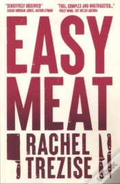 Capa do artigo Easy Meat
