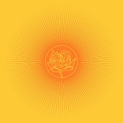 Capa do artigo Easy Tiger - Vinil