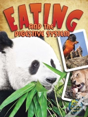 Capa do artigo Eating And The Digestive System