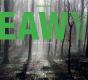 Eawy, Une Forêt Et Des Hommes - Preview