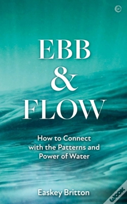 Capa do artigo Ebb And Flow