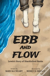 Capa do artigo Ebb And Flow