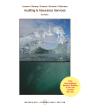 Ebook: Auditing &Amp; Assurance Services - Preview