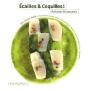 Écailles & Coquilles ; Poissons & Crustacés - Preview