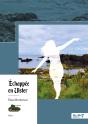 Échappée En Ulster - Preview