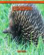 Echidna! An Educational Children'S Book About Echidna With Fun Facts - Preview