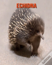 Capa do artigo Echidna
