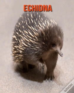 Capa do artigo Echidna