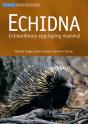 Echidna - Preview