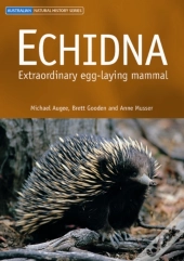 Echidna