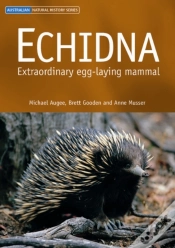 Capa do artigo Echidna