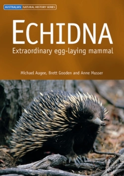 Capa do artigo Echidna