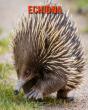 Echidna - Preview