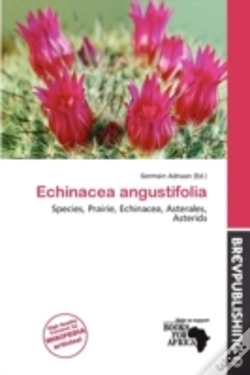Capa do artigo Echinacea Angustifolia