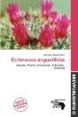 Echinacea Angustifolia - Preview