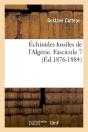 Echinides Algerie F 7 Edition 1876 1884 - Preview