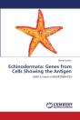 Echinodermata - Preview