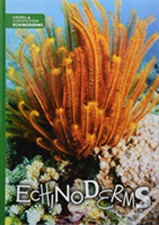 Echinoderms