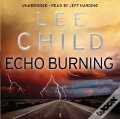 Capa do artigo Echo Burning