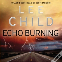 Capa do artigo Echo Burning