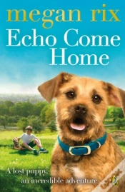 Capa do artigo Echo Come Home