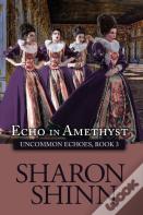 Echo In Amethyst
