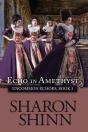 Echo In Amethyst - Preview