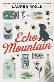 Capa do artigo Echo Mountain