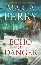Capa do artigo Echo Of Danger