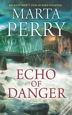 Capa do artigo Echo Of Danger