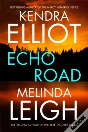 Capa do artigo Echo Road