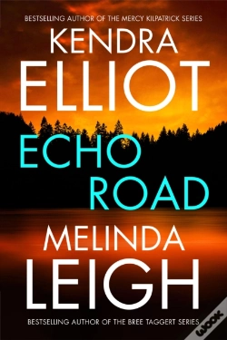 Capa do artigo Echo Road