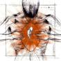 Echo - Vinil - Preview