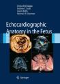 Echocardiographic Anatomy In The Fetus - Preview