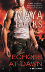 Echoes At Dawn - Preview