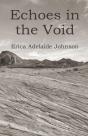 Echoes In The Void - Preview