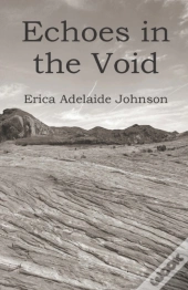 Echoes In The Void
