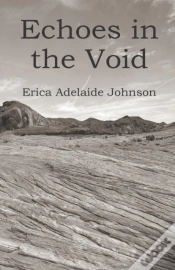 Capa do artigo Echoes In The Void