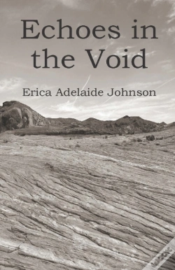 Capa do artigo Echoes In The Void