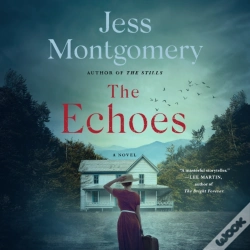Capa do artigo Echoes
